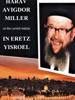 Harav Avigdor Miller on the current matzav In Eretz Yisroel
