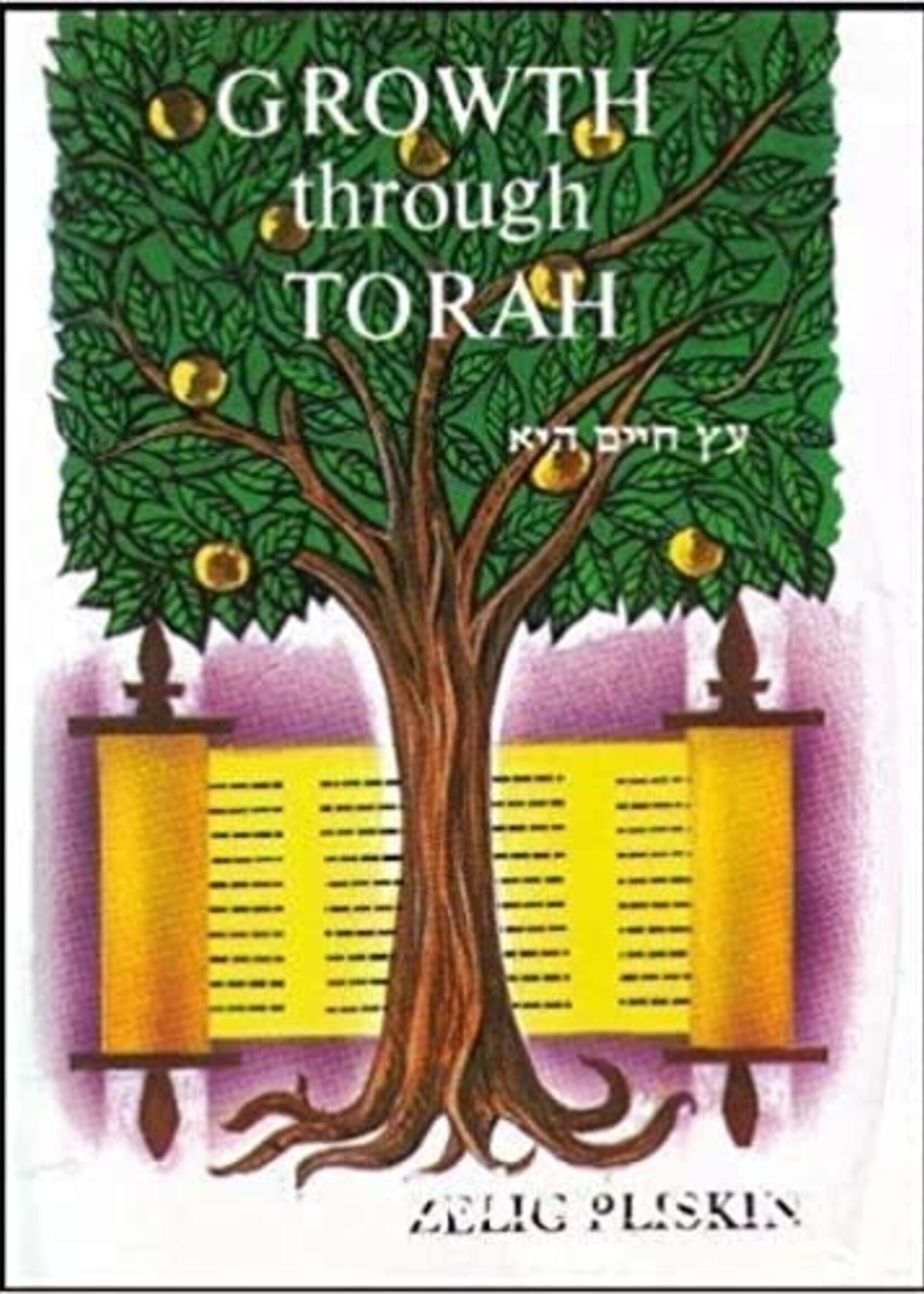 Growth Through Torah - Rabbi Zelig Pliskin