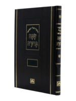 תלמוד בבלי שפה ברורה – בבא בתרא גדול