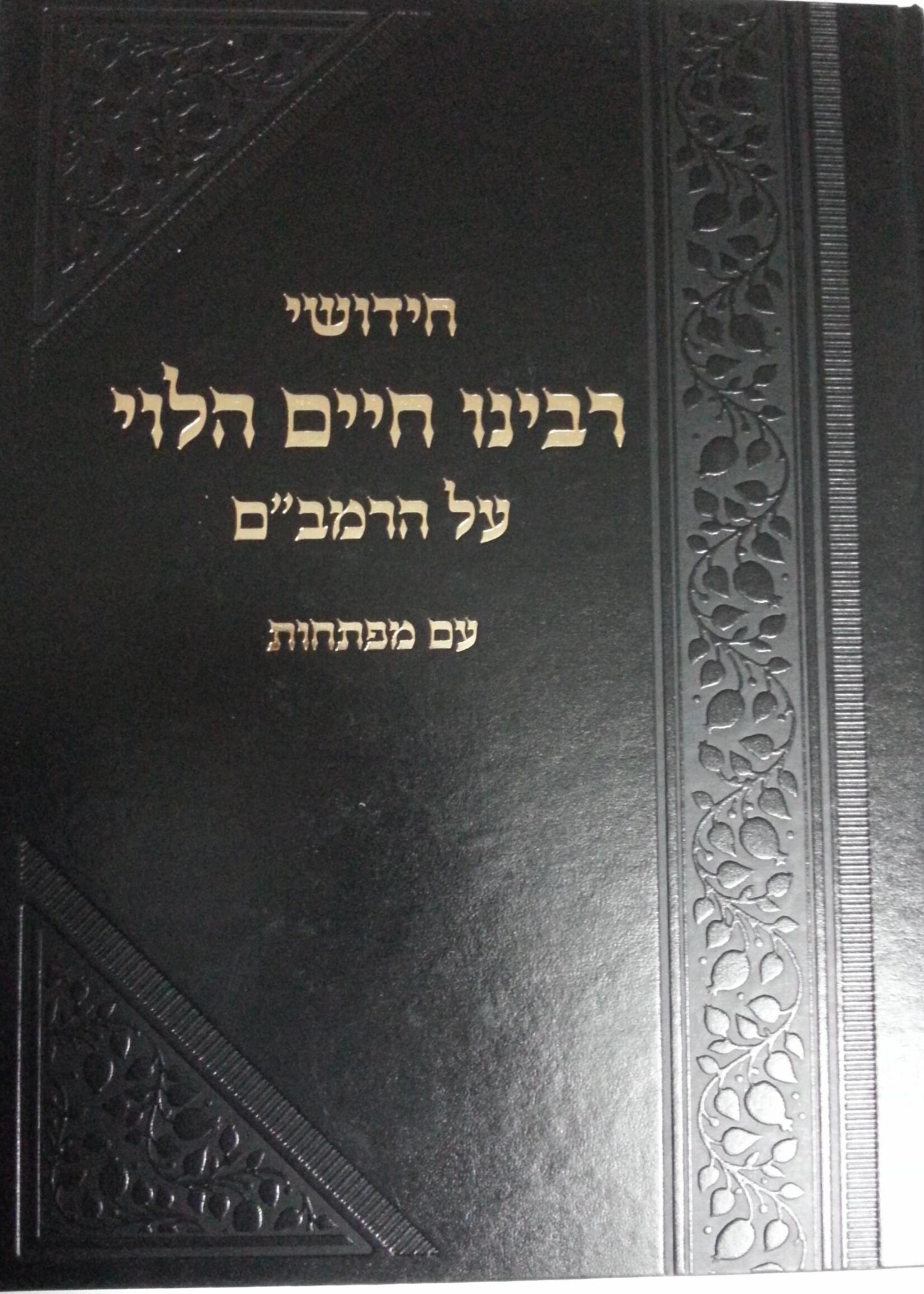 Chidushei Rabeinu Chaim HaLevi on Rambam / חידושי רבנו חיים הלוי על הרמב"ם עם גליונות חזון איש