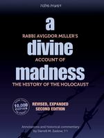 A Divine Madness: Second Edition -  Rabbi Avigdor Miller on the Holocaust