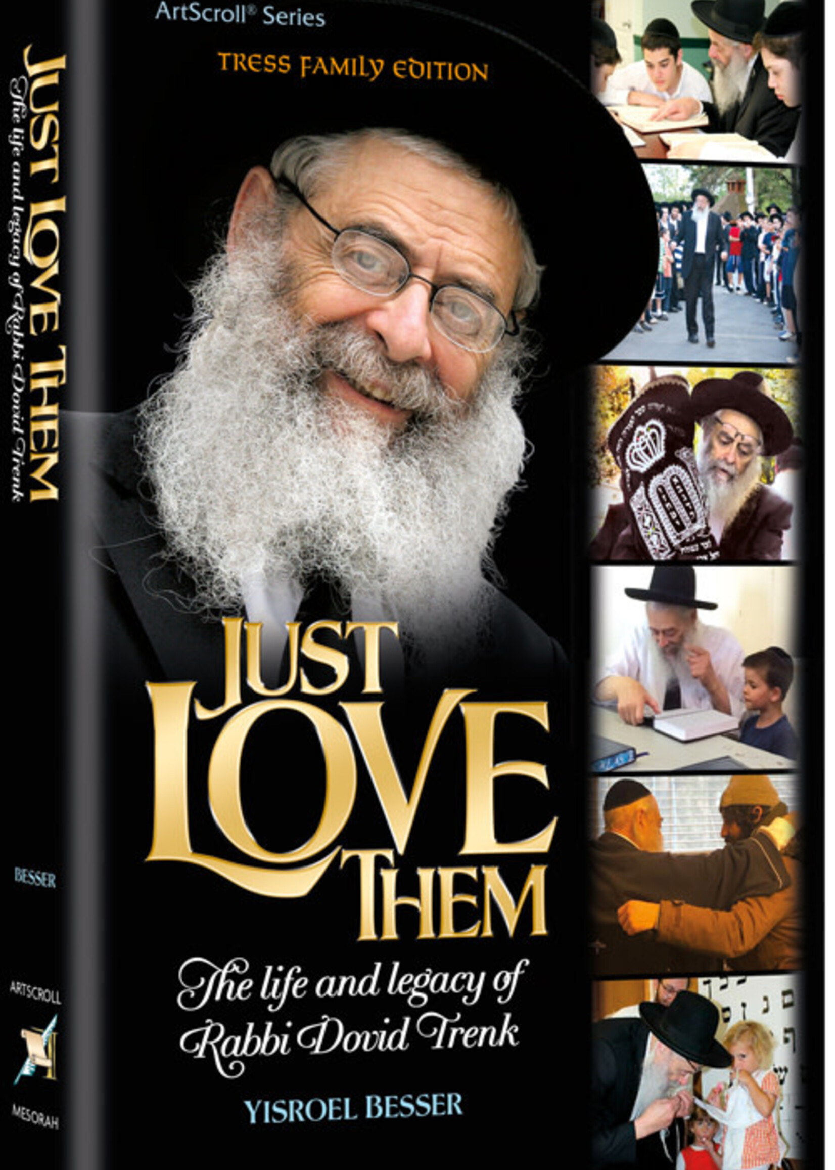 Just Love Them The Life and Legacy of Rabbi Dovid Trenk