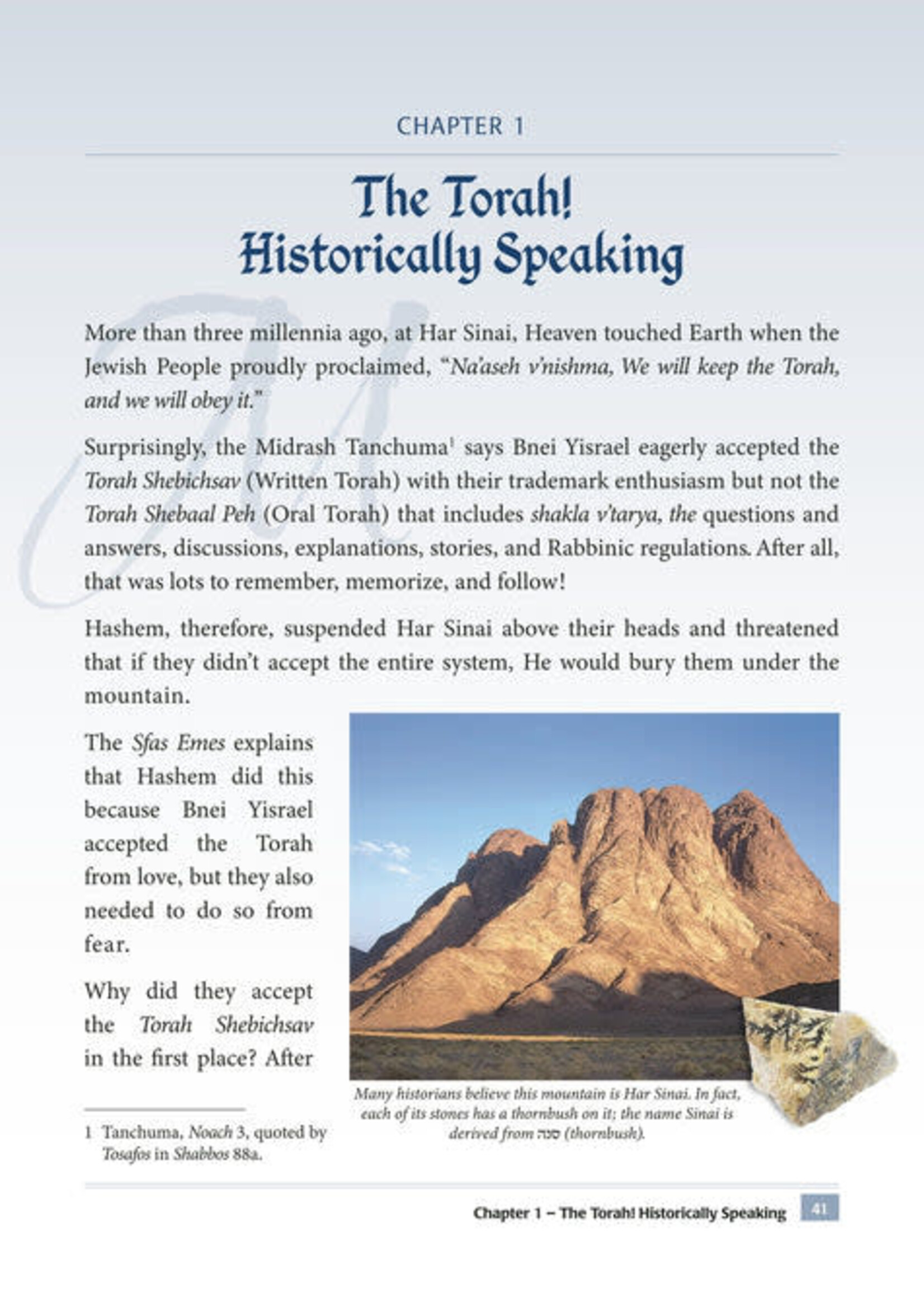 The Sefer Torah Encyclopedia