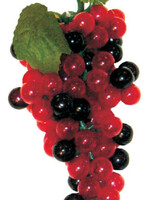 10 IN. 88 LARGE GRAPES CLUSTER