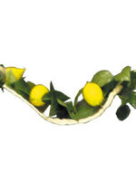 9' Esrog Rope Garland - 13 Esrogim