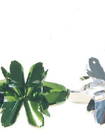 6" 5 Section Multi Colored Garland - Pack of 12