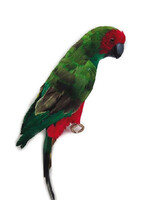 Large Parrot 21"