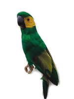 13" Parrot
