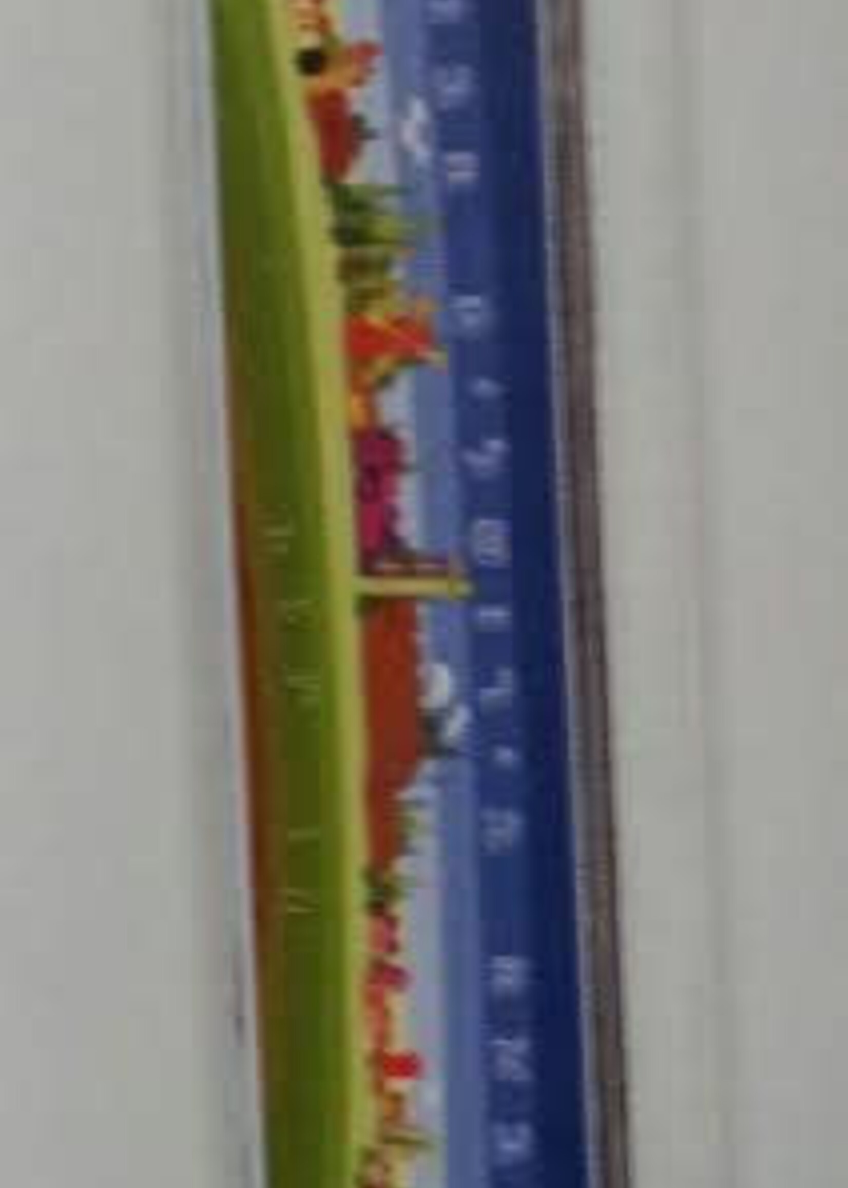 Plastic Lulav Holder Jerusalem Blue