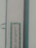 Lulav Holder Plastic Extra Long