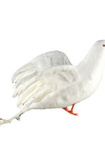 7" white Dove - price per dozen