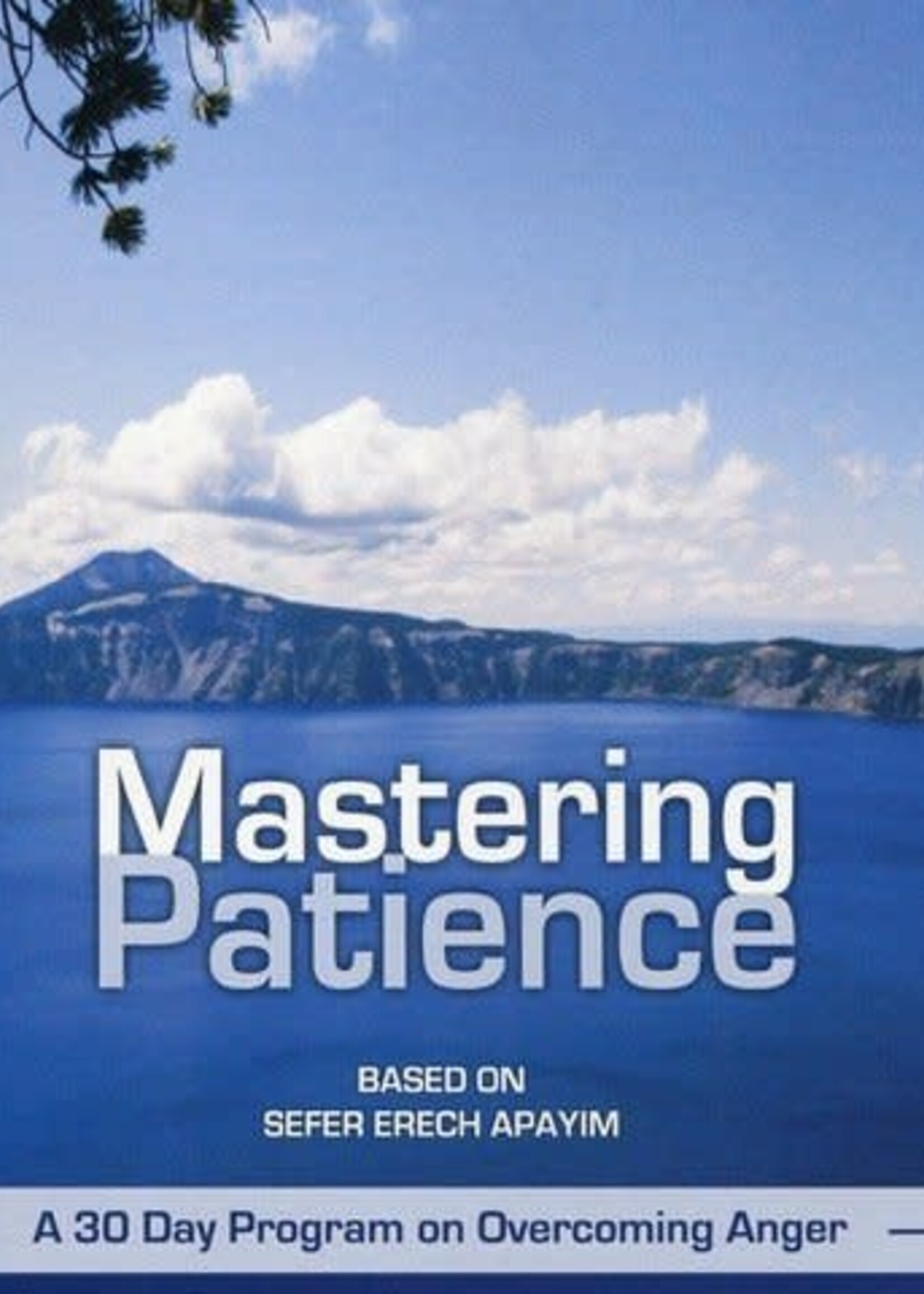 Mastering Patience