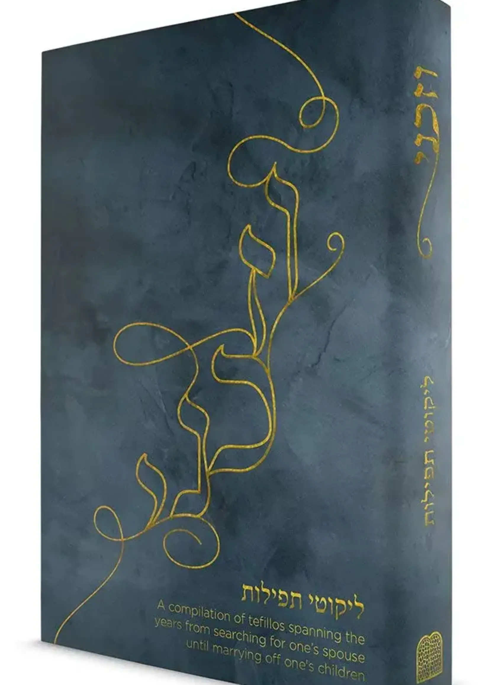 VeZakeini (Hebrew Only) A compilation of tefillos spanning the years from searching for one's spouse until marrying off one's children
