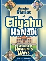 Amazing Stories of Eliyahu HaNavi Vol 3 The Wonder of Hashem's Ways