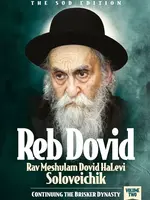 Reb Dovid, Volume 2