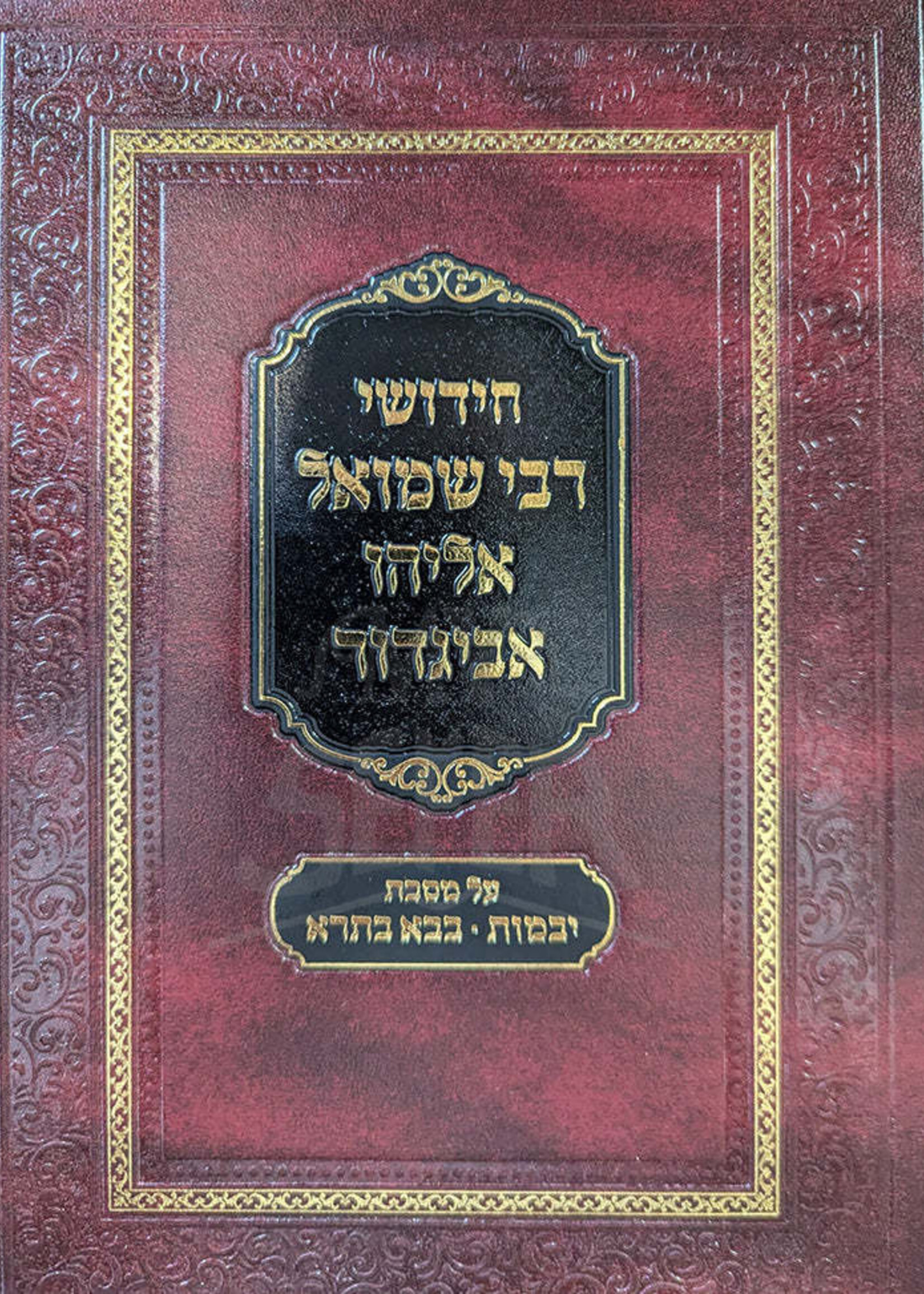 Chidushei Rabbi Shmuel Eliyahu Avigdor / חידושי רבי שמואל אליהו אביגדור