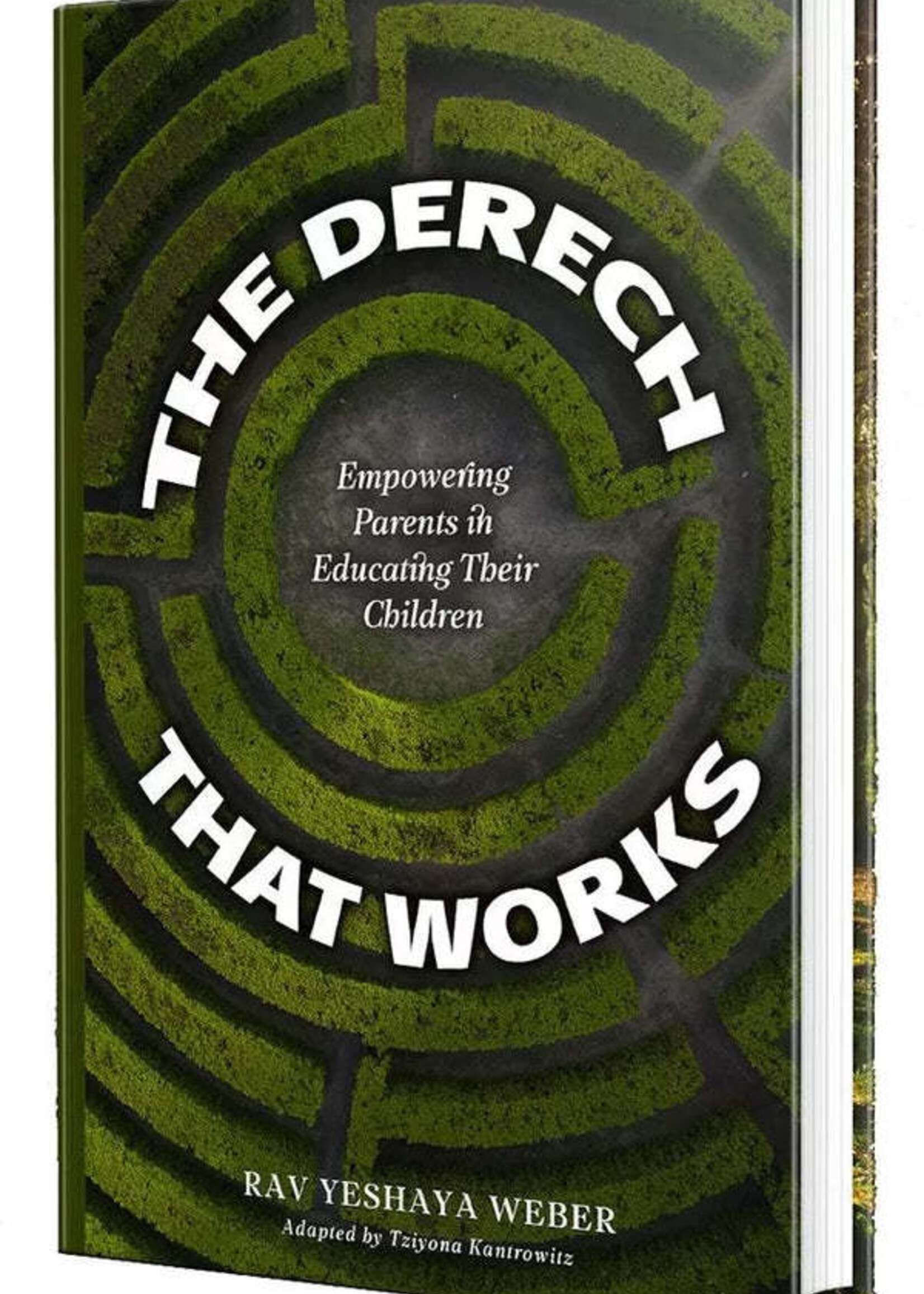 Derech That Works