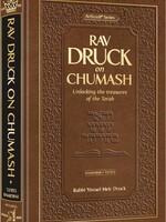 Rav Druck on Chumash - Bamidbar Unlocking the treasures of the Torah