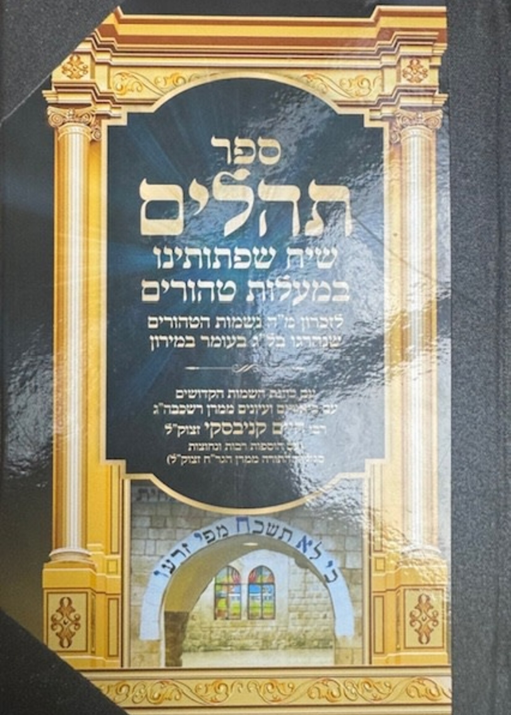 Tehilim Siach Sefsosanu With Binding  / תהילים שיח שפתותיינו רח ק ענק חדש