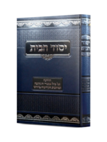 Rabbi Chaim Dov Sthark Yesod Habayis - Hadracha on our Generations Nisyonos/  יסוד הבית - הדרכהאל מול אתגרי התקופה ונסיונות הקדושה בדורנו