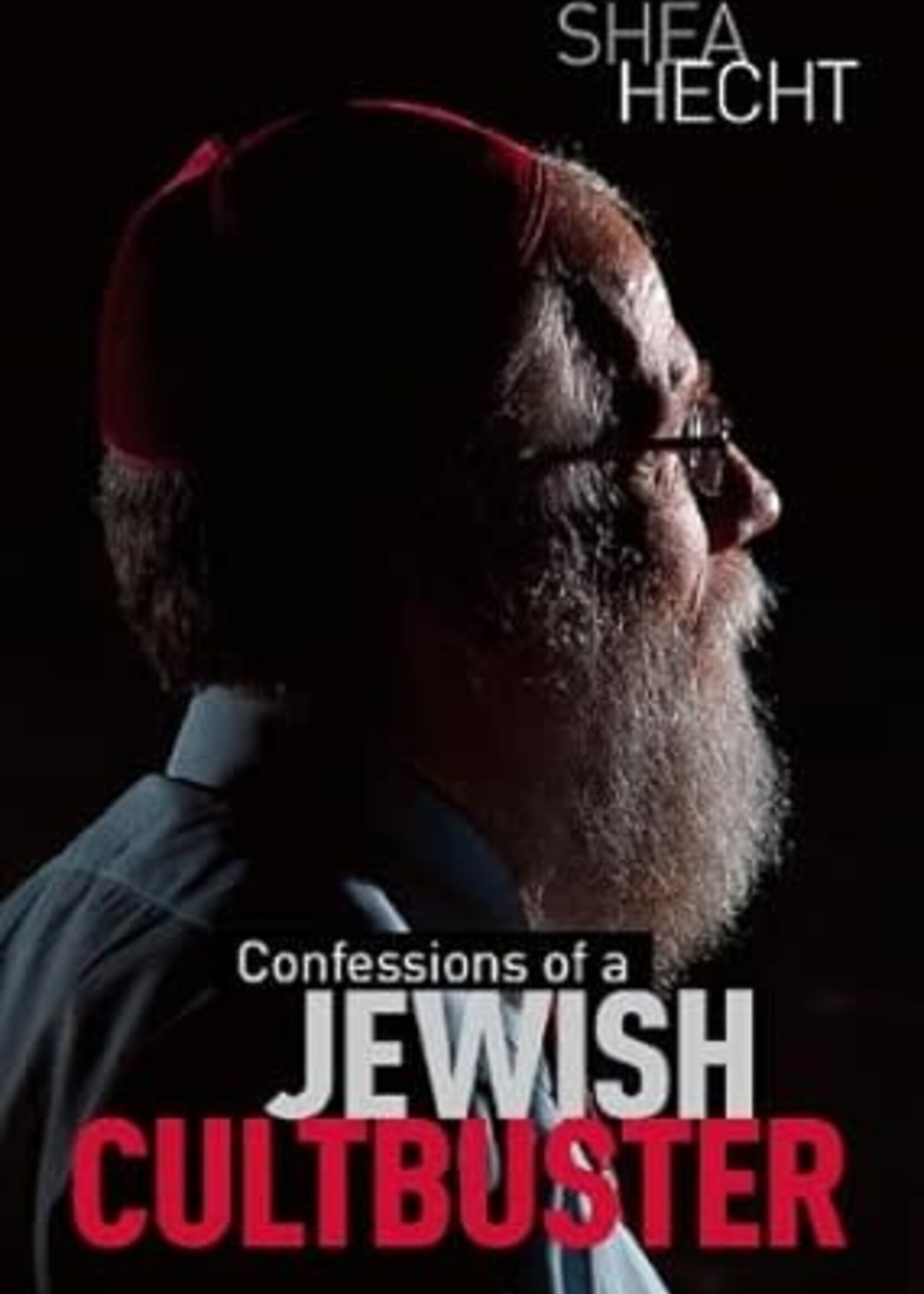 confesions of a jewish cultbuster