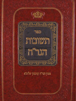 Teshuvos Rav Chaim Kanevsky Vol. 3 / תשובות הגר"ח ח"ג - קניבסקי