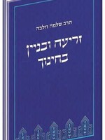 Zri'a U'Binyan B'Chinuch (Hebrew)