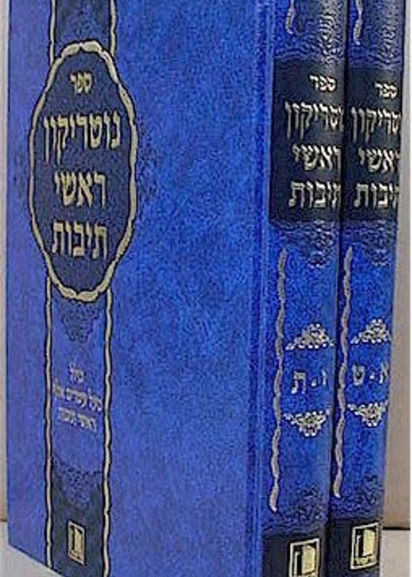 Notrikon Rashei Teivot (2 vol.) / נוטריקון ראשי תיבות ב' כרכים - מישור