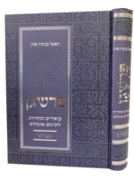 Parshegen Bamidbar / פרשגן במדבר