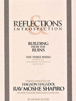 Reflections & Introspection: Building From The Ruins The Three Weeks From The Seventeenth Of Tammuz To The Ninth Of Av