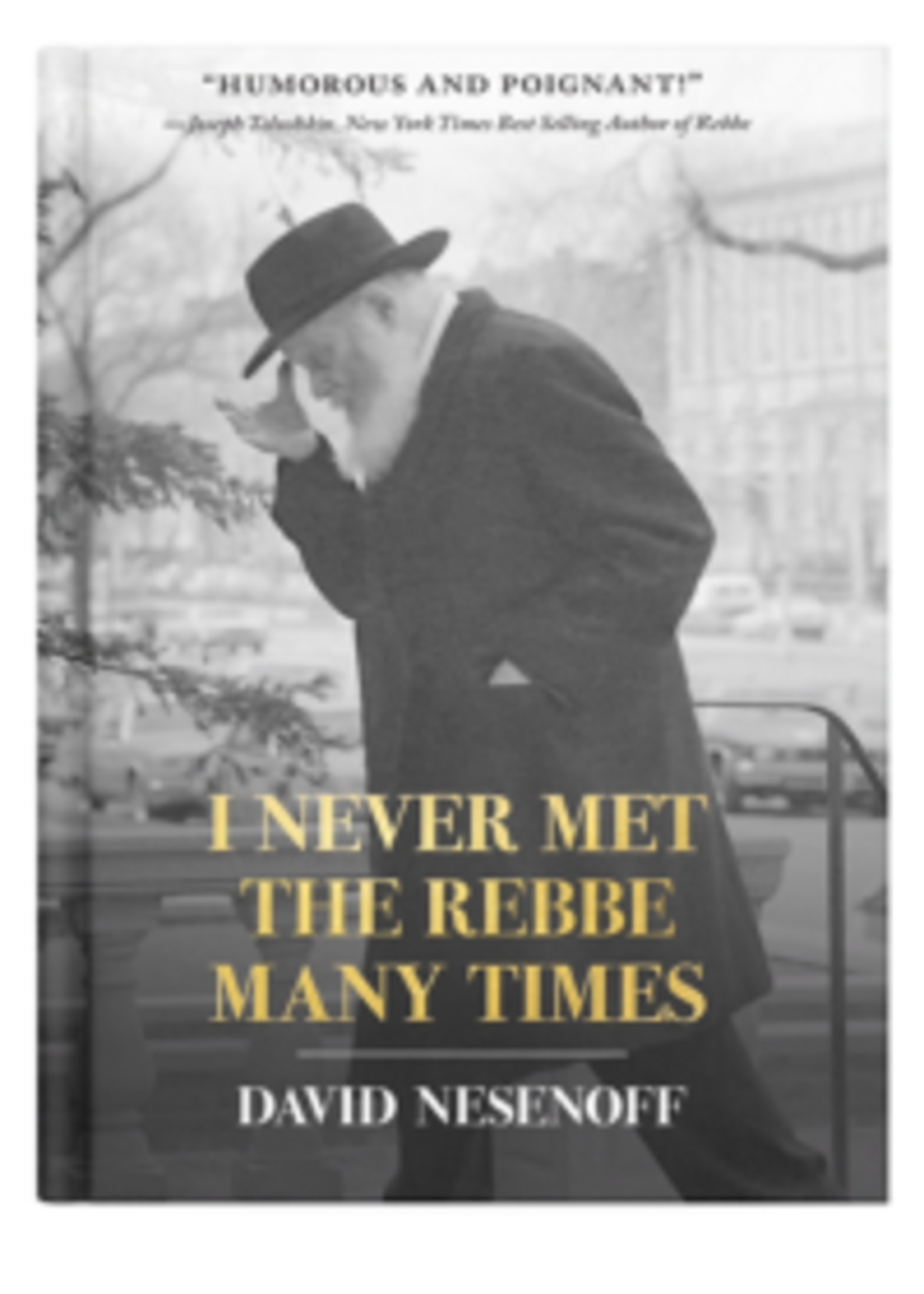 I Never Met The Rebbe Many Times (Nesenoff)