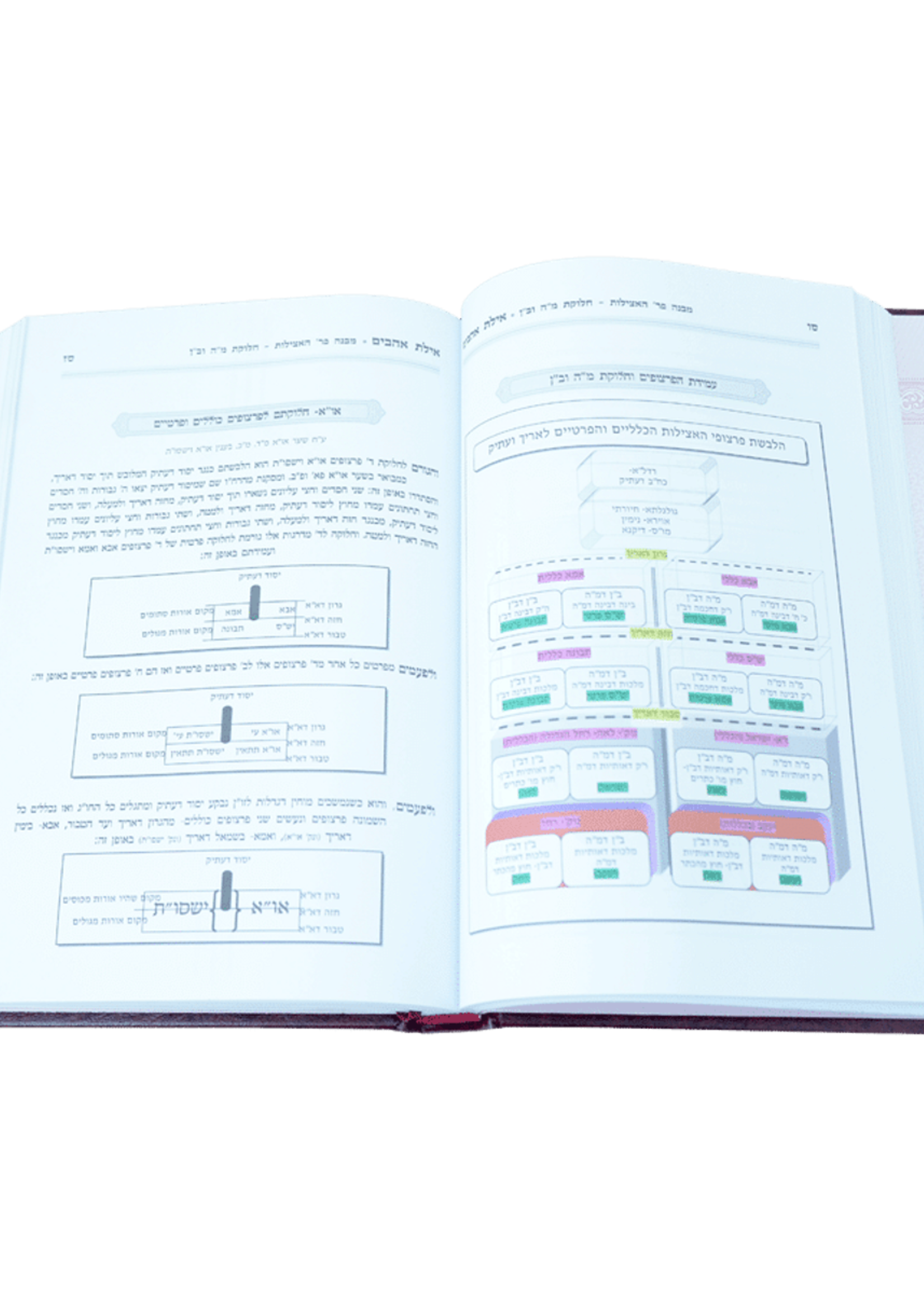 Ayeles Ahavim / אילת אהבים ציורים וטבלאות לעץ חיים