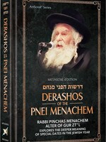 Derashos of The Pnei Menachem