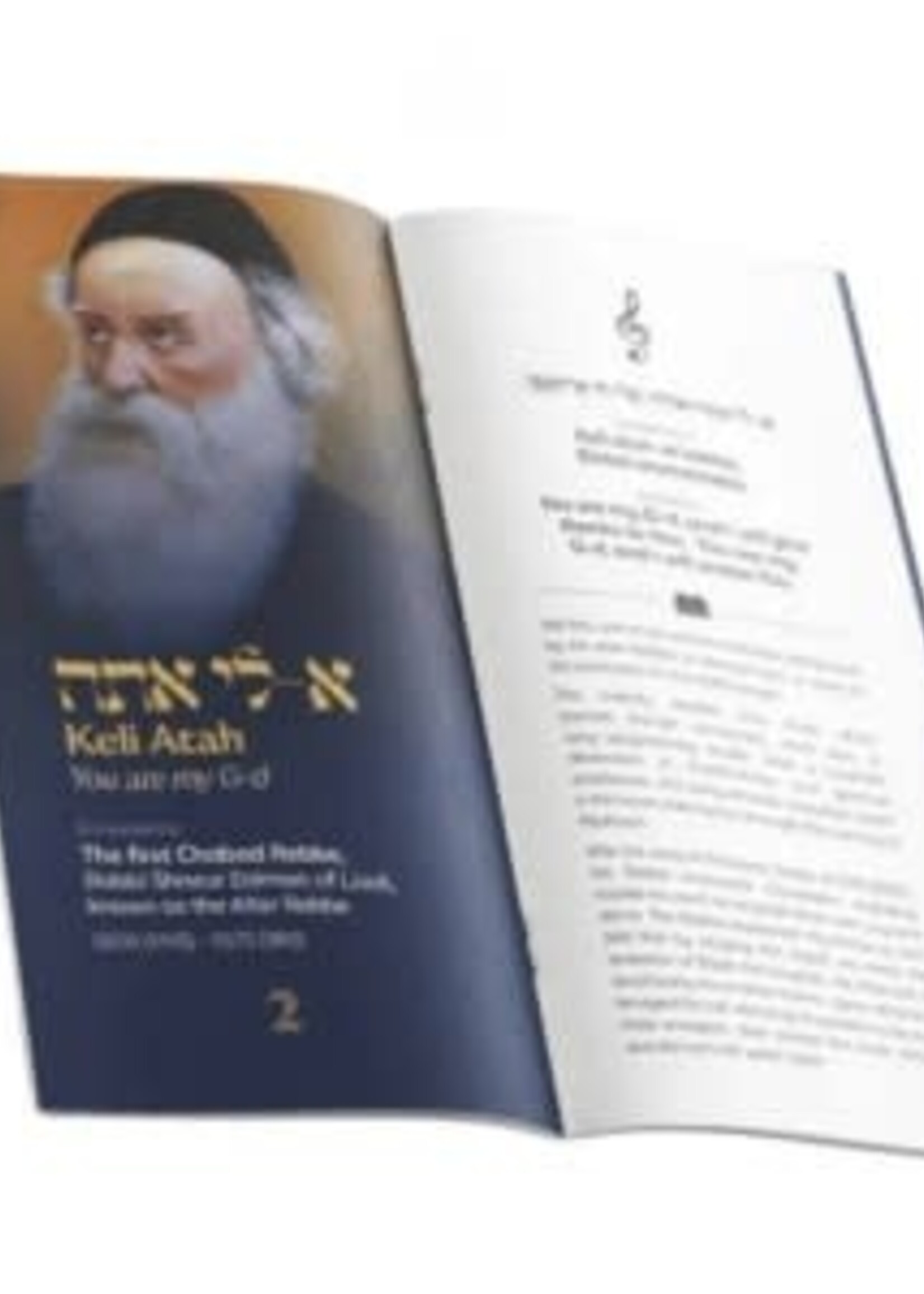 Seder Nigunim Companion [Paperback]