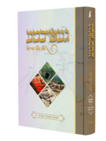 געשיכטע פון כלל ישראל #5 - תקופת שמואל ב