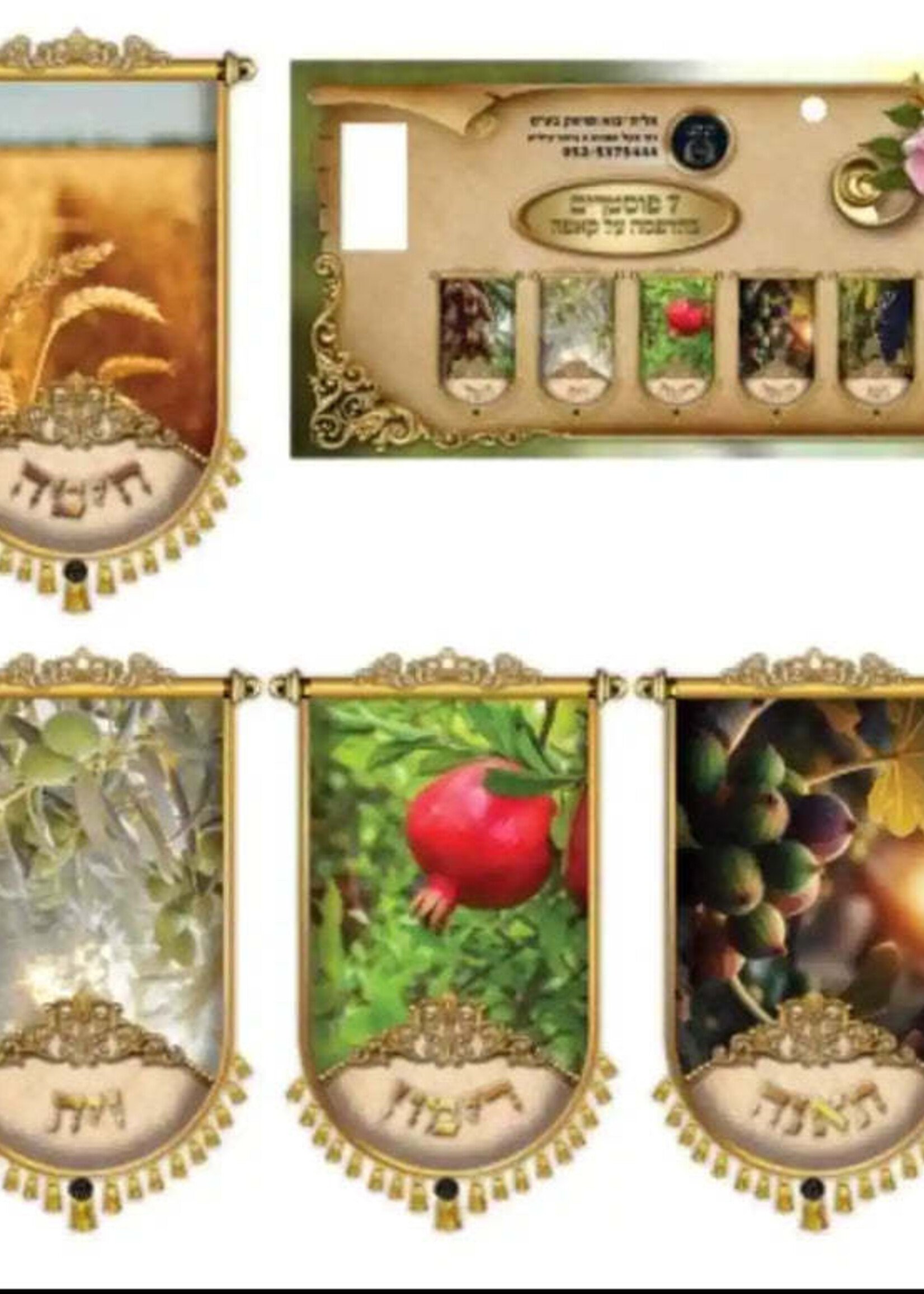 FOAM DIY SHIVAS HAMINIM STRING SY18