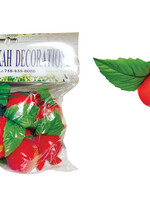 FRUIT DECORATION 10 PACK POMEGRANATES