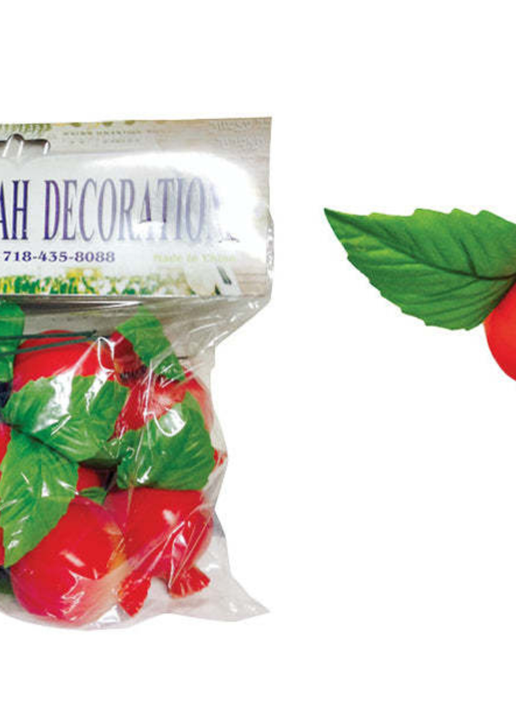 FRUIT DECORATION 10 PACK POMEGRANATES