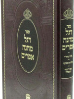 Degel Machaneh Efraim by Shaar Hatorah / דגל מחנה אפרים - שער התורה