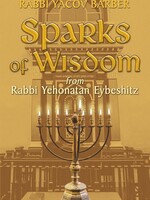 Sparks of Wisdom: From Rabbi Yehonatan Eybeshitz