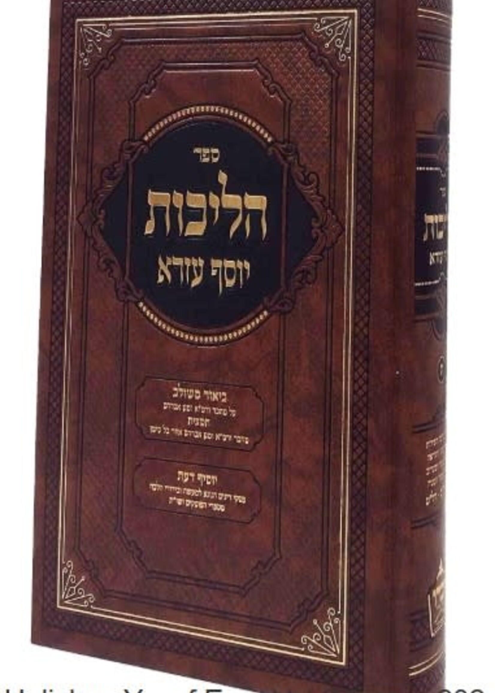 Halichos Yosef Ezra Vol 8 Siman 202 - 239 / הליכות יוסף עזרא או"ח חלק ח סימן ר"ב - רל"ט