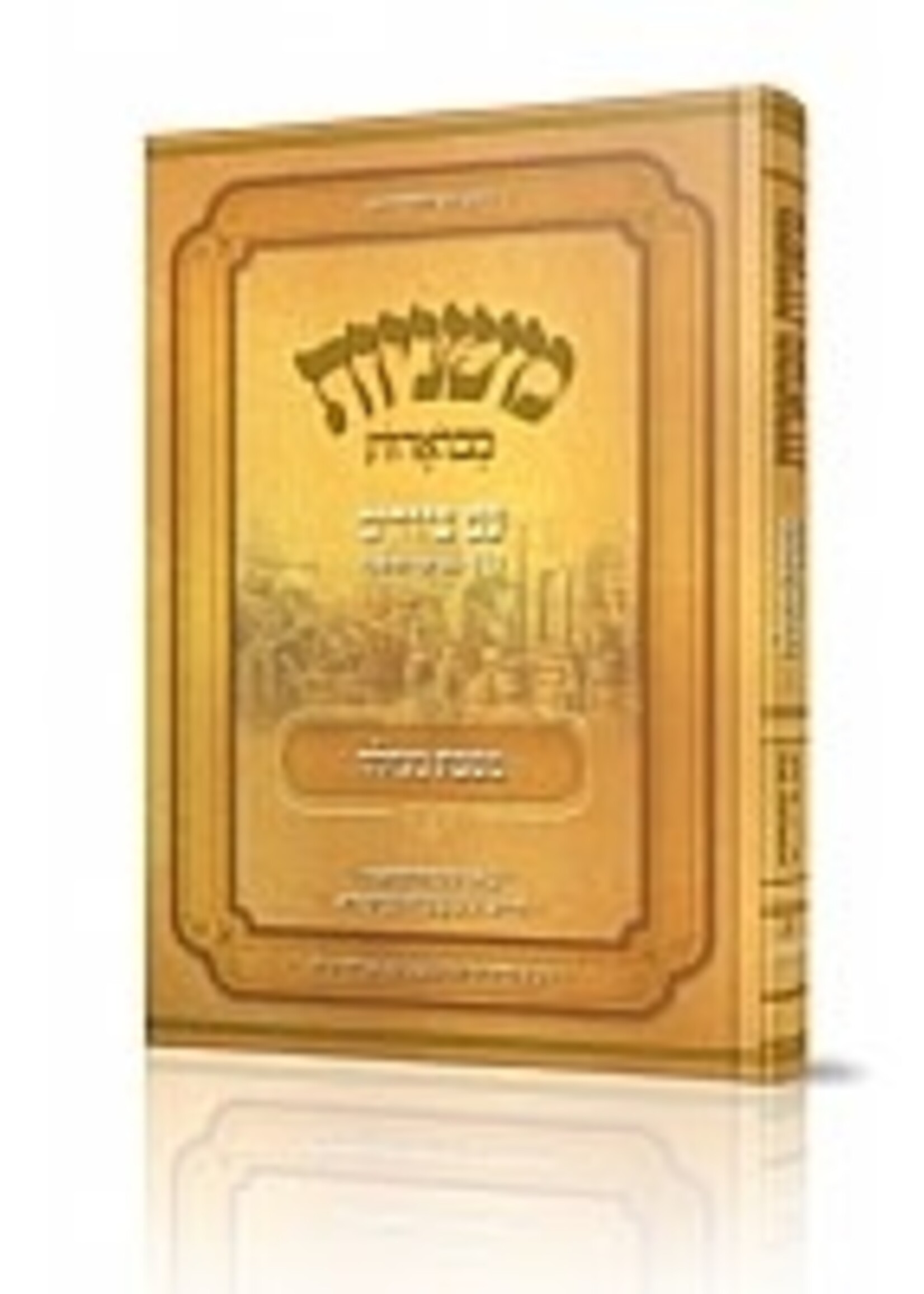 MISHNAYOS MEVOAROS WITH PICTURES - MASECHTA MEGILLAH / משניות מבוארות - עם ציורים - מגילה