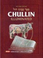 Chullin Illuminated: Color Guide to Animal Anatomy with Halachic and Scientific Discussion