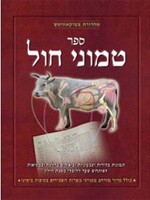 Rabbi Yaakov Dovid Lach Sefer Temunei Chol (Hebrew Only): Chullin / ספר תמוני חול (בעברית בלבד): חולין