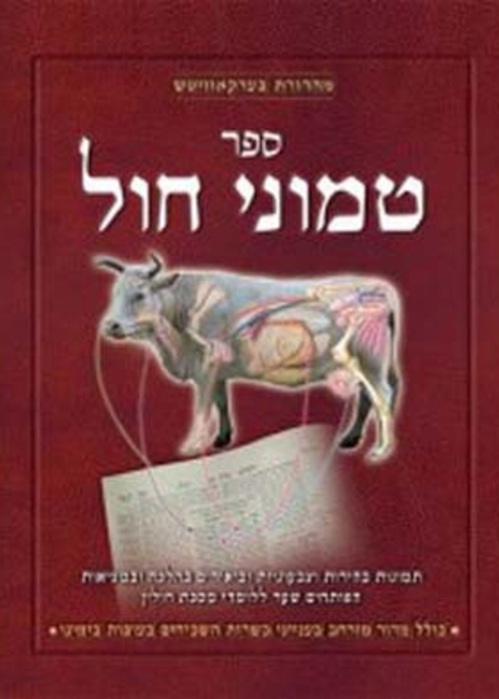 Rabbi Yaakov Dovid Lach Sefer Temunei Chol (Hebrew Only): Chullin / ספר תמוני חול (בעברית בלבד): חולין