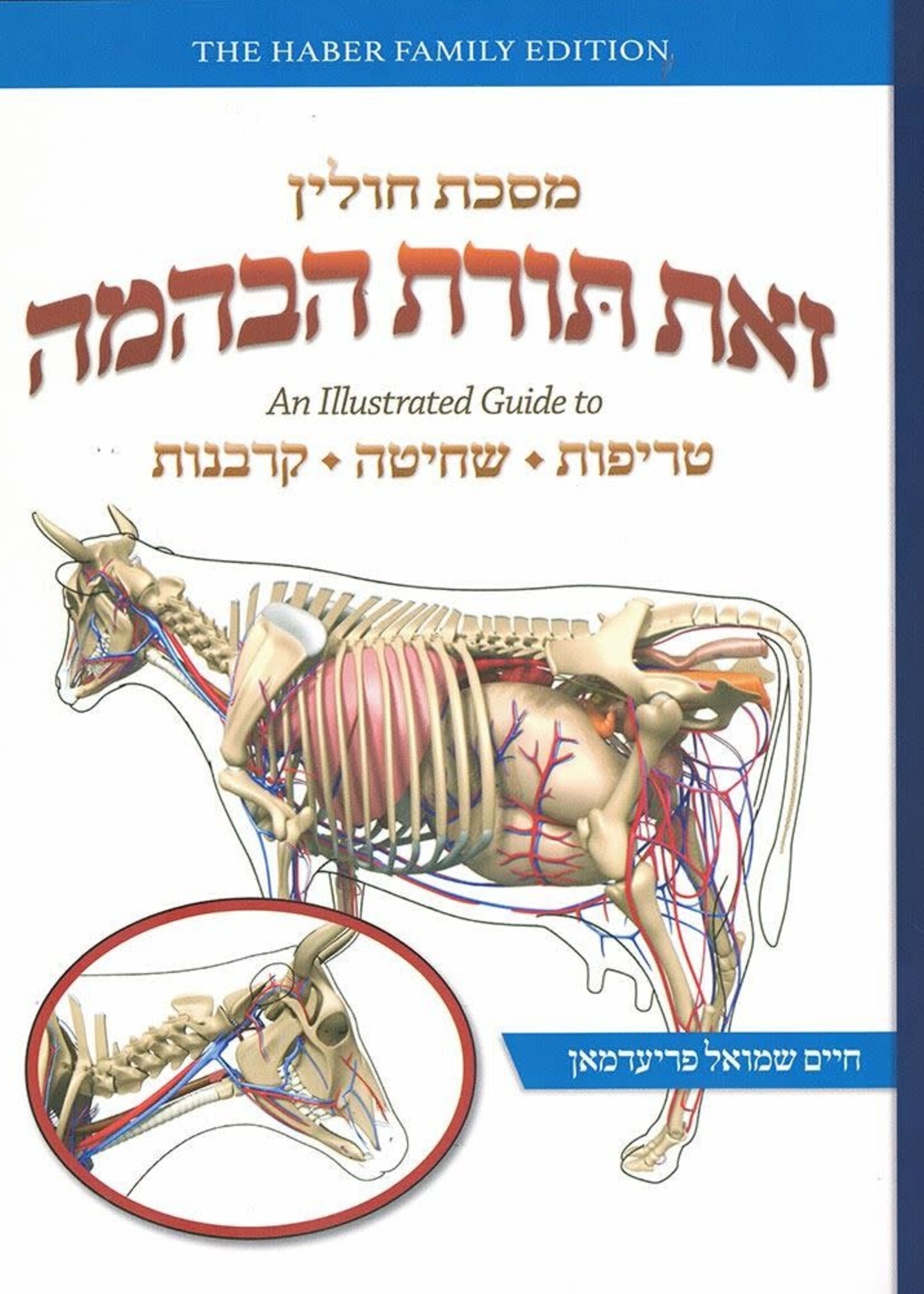 Zos Toras HeBehaima - Maseches Chullin: An Illustrated guide to Treifus, Shechita and Karbanos