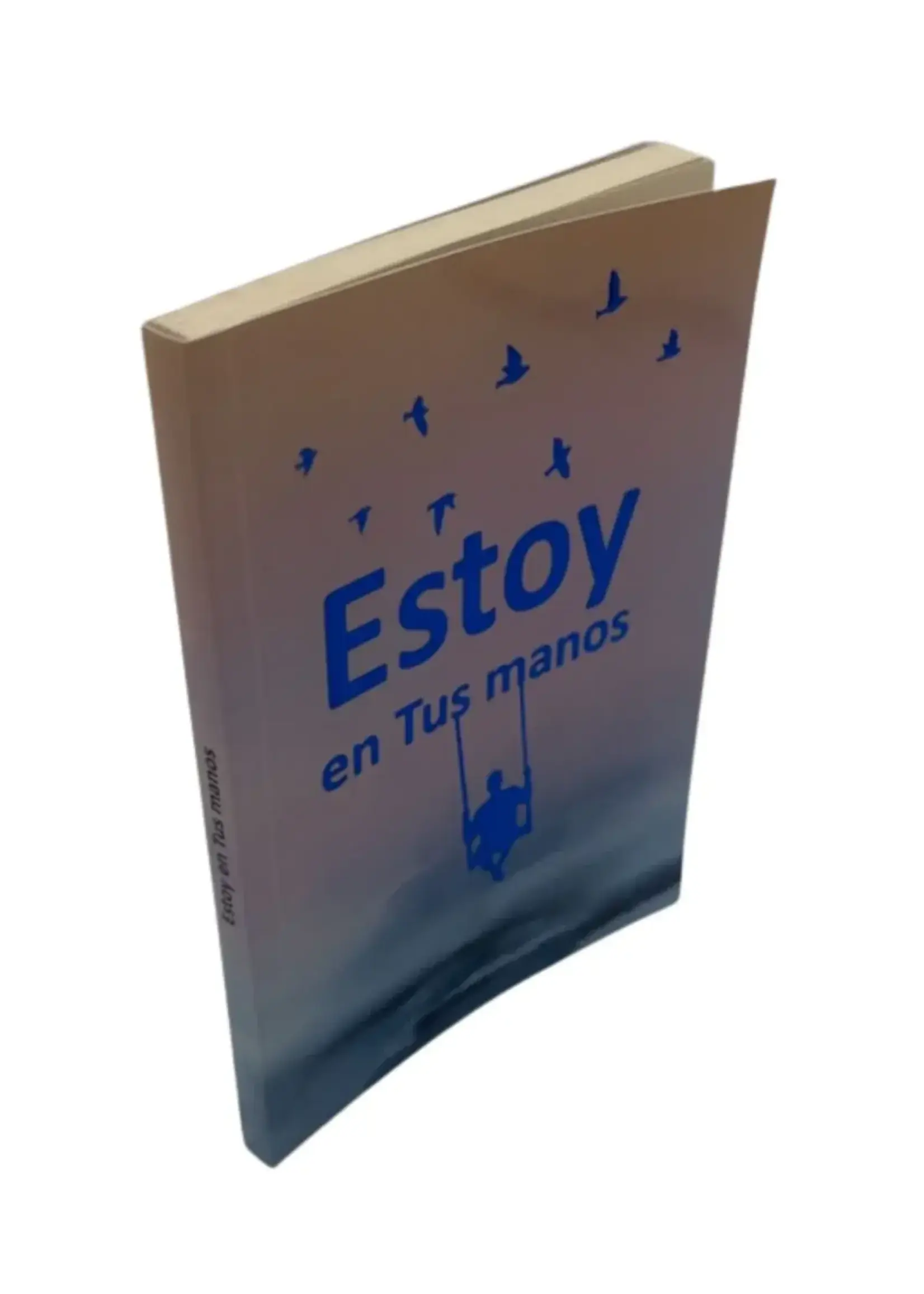 Estoy En Tus Manos R.S. Arush -I'm In Your Hands-Booklet