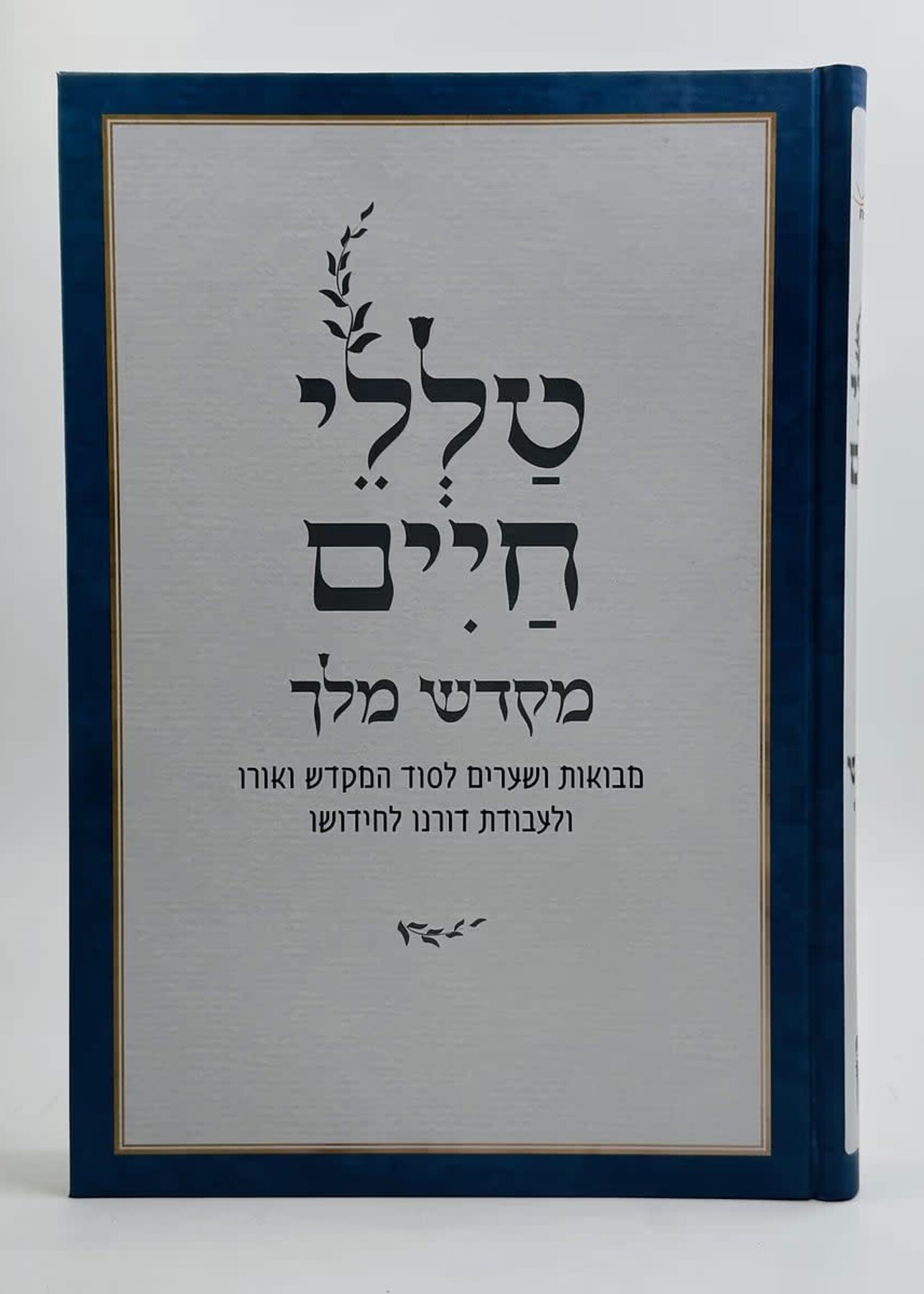 Talelei Chaim - Mikdash Melech (Rabbi Reuven Sasson) / טלי חיים - מקדש מלך (הרב ראובן ששון)