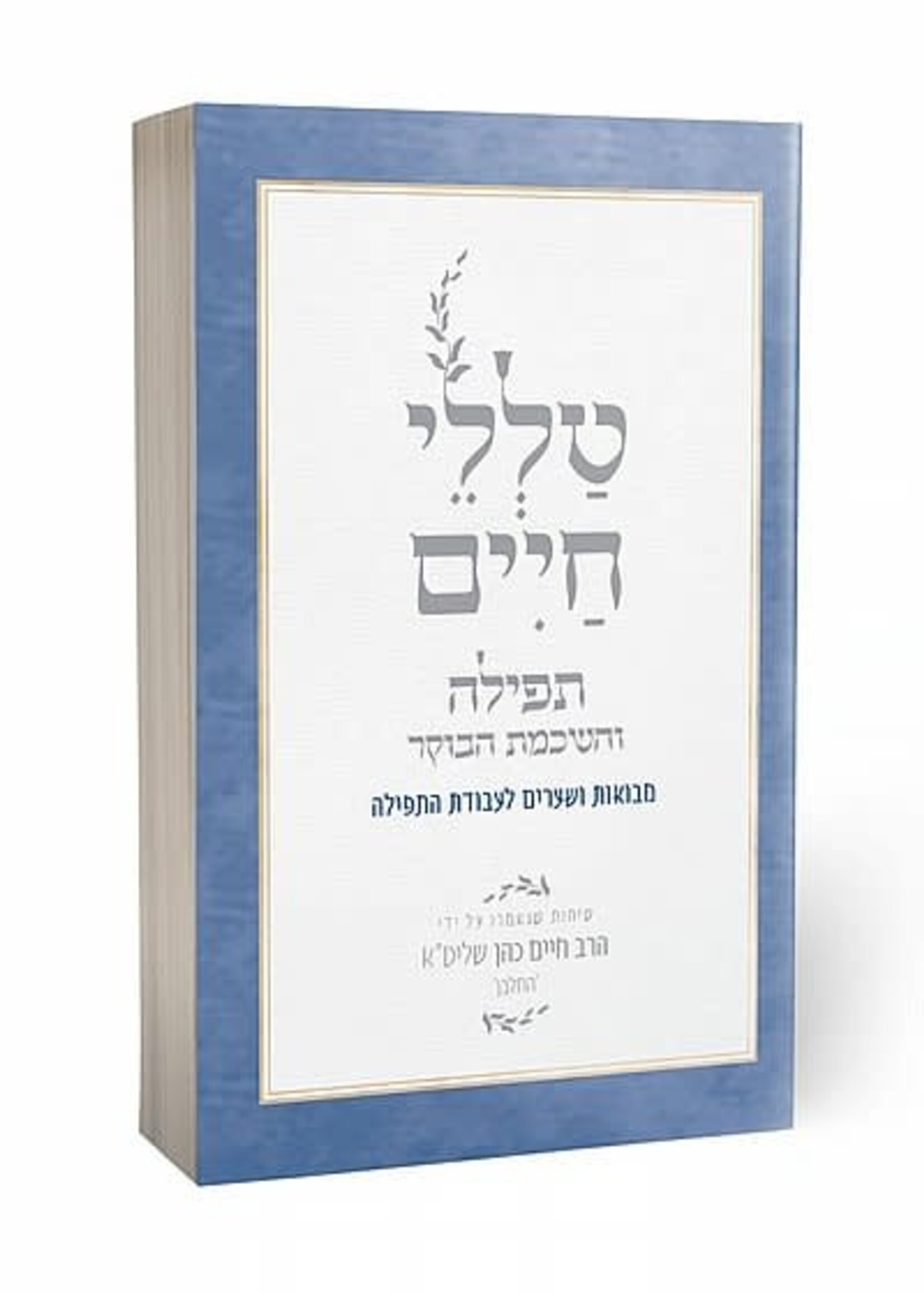 Talelei Chaim - Tefillah | Rabbi Reuven Sasson / טללי חיים- תפילה| הרב ראובן ששון