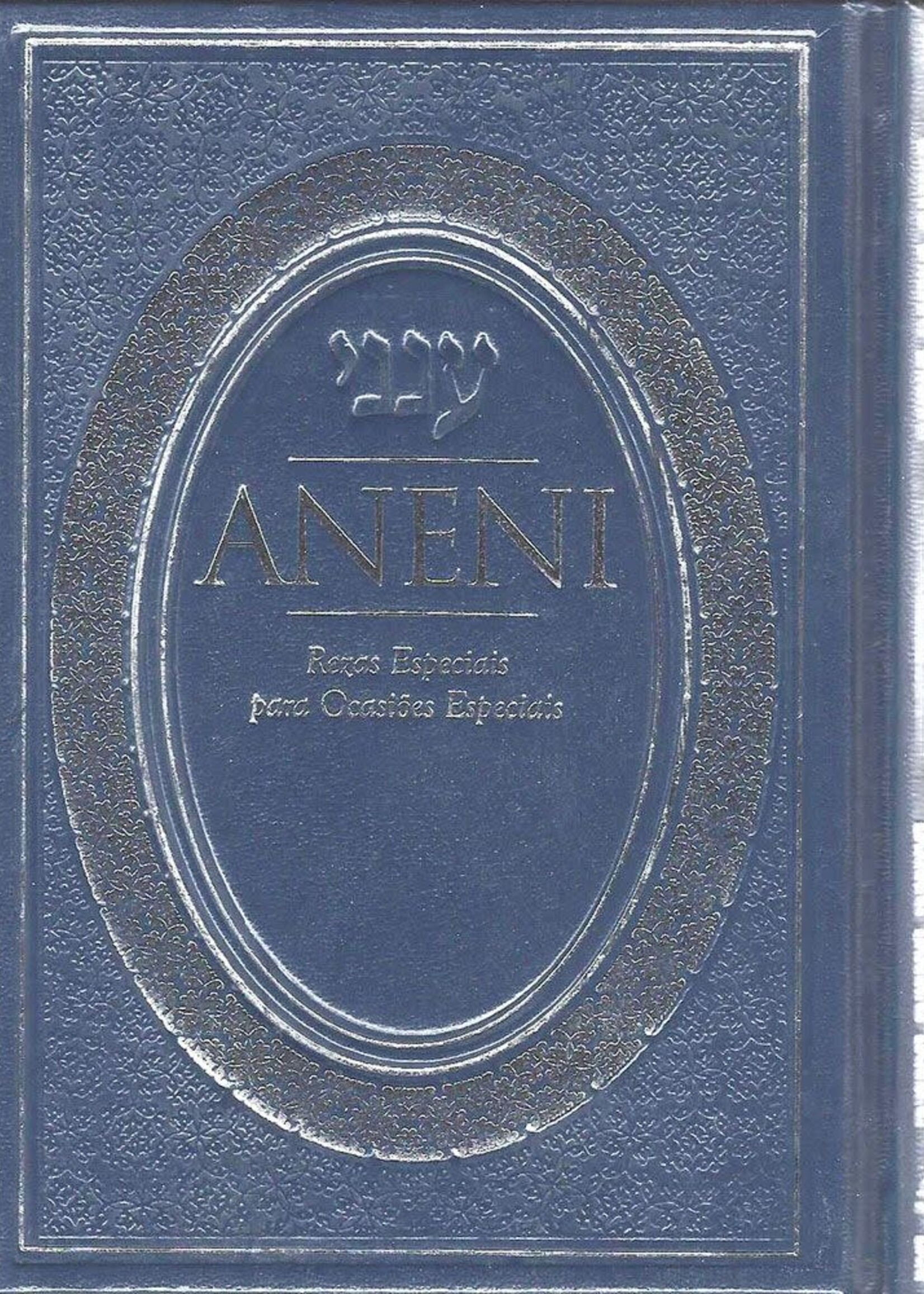 Rabbi Yaakov Yosef Iskowitz Aneni: Portuguese Edition